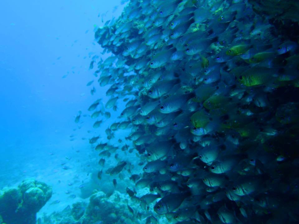 Photo of Exploring the Andamans with a gal pal 21/21 by MJ