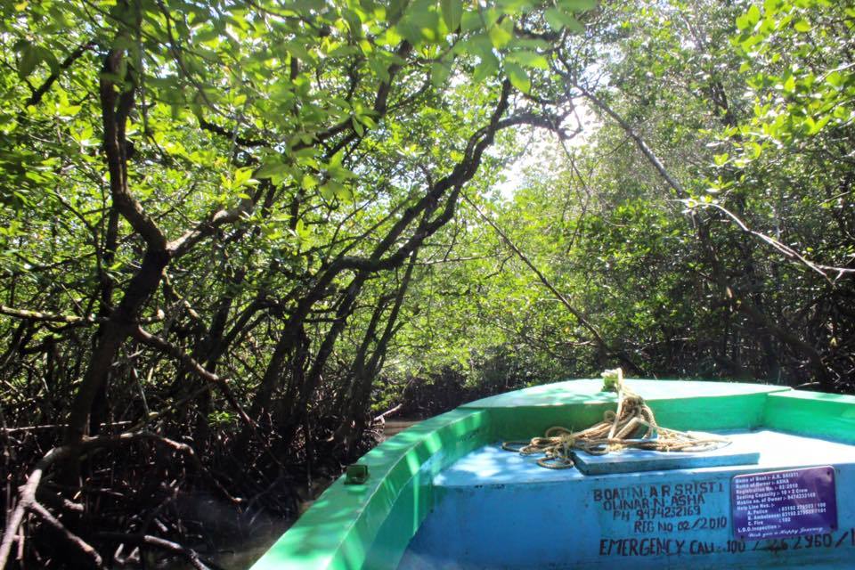 Photo of Exploring the Andamans with a gal pal 14/21 by MJ