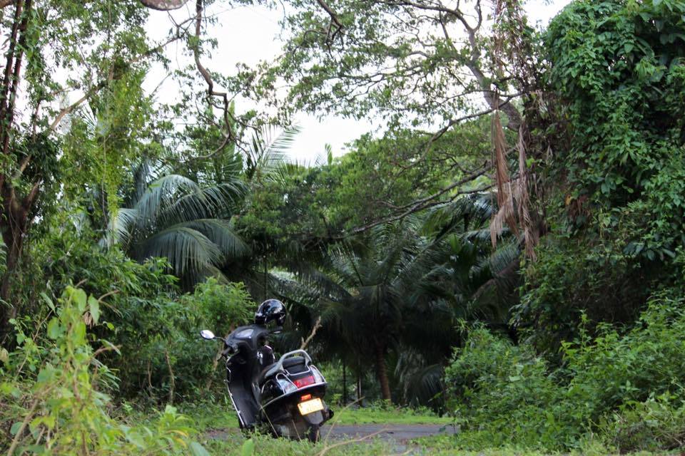 Photo of Exploring the Andamans with a gal pal 16/21 by MJ