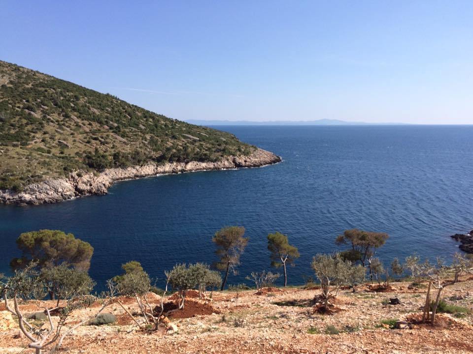 Photo of Two Weeks in Croatia- The Highlights 26/37 by Sudeep