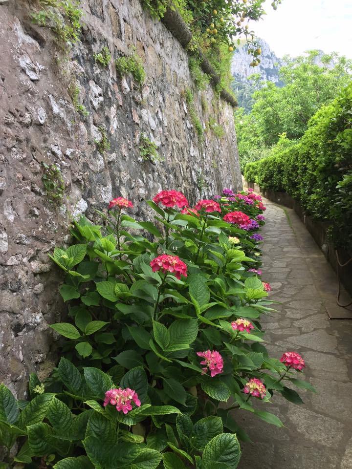 Photo of The Italian Adventure- Amalfi Coast- Travel Guide 10/19 by Sudeep
