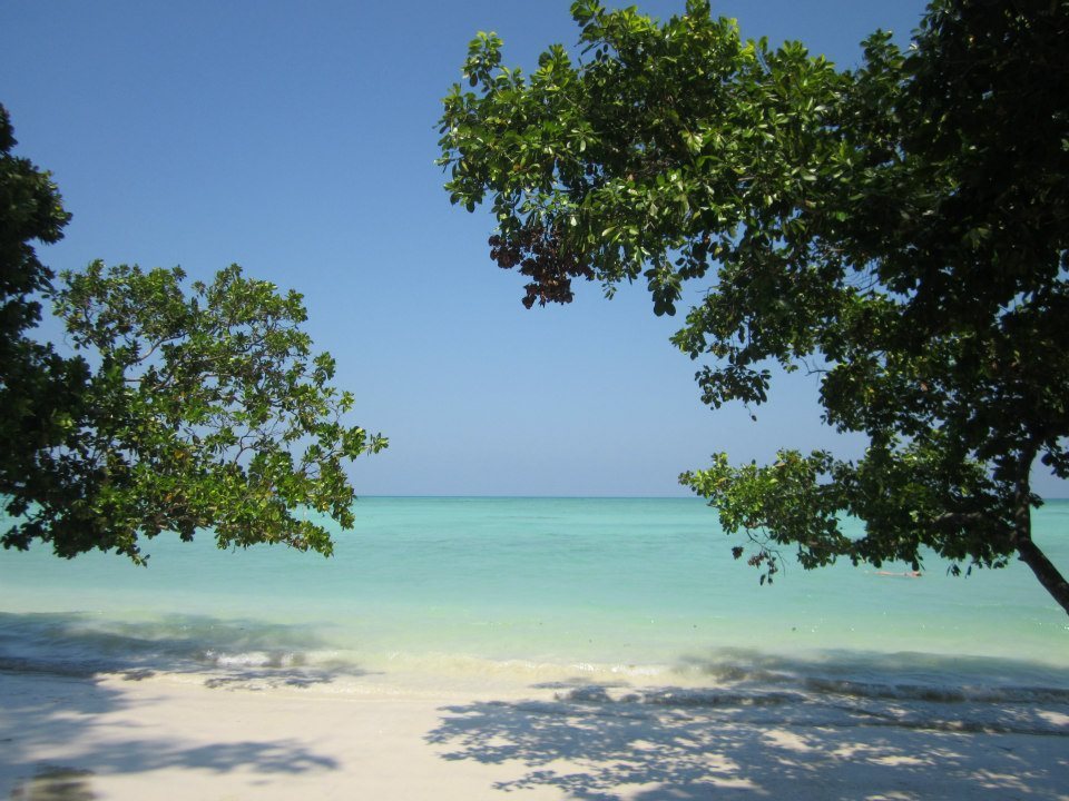 Photo of The Beautiful Backpacker Destination- Havelock Islands by Sudeep