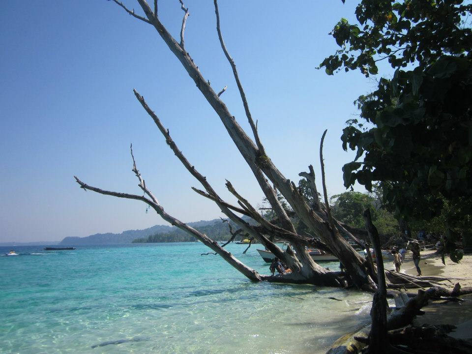 Photo of The Beautiful Backpacker Destination- Havelock Islands by Sudeep