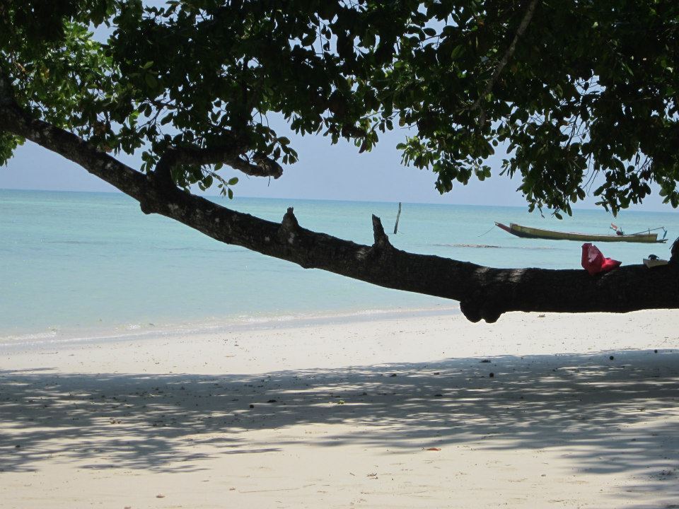 Photo of The Beautiful Backpacker Destination- Havelock Islands by Sudeep