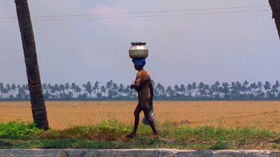 Photo of Alappuzha Backwaters - lots of chemmeen but no Karuthamma 17/34 by Chendilk