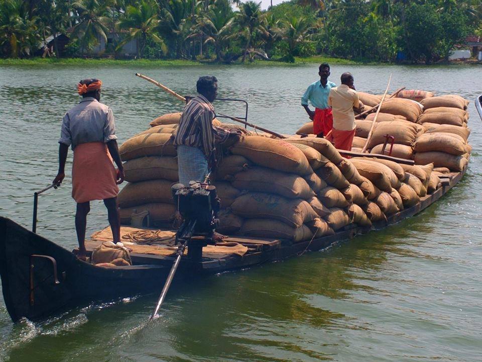 Photo of Alappuzha Backwaters - lots of chemmeen but no Karuthamma 14/34 by Chendilk