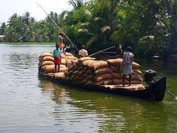 Photo of Alappuzha Backwaters - lots of chemmeen but no Karuthamma 15/34 by Chendilk