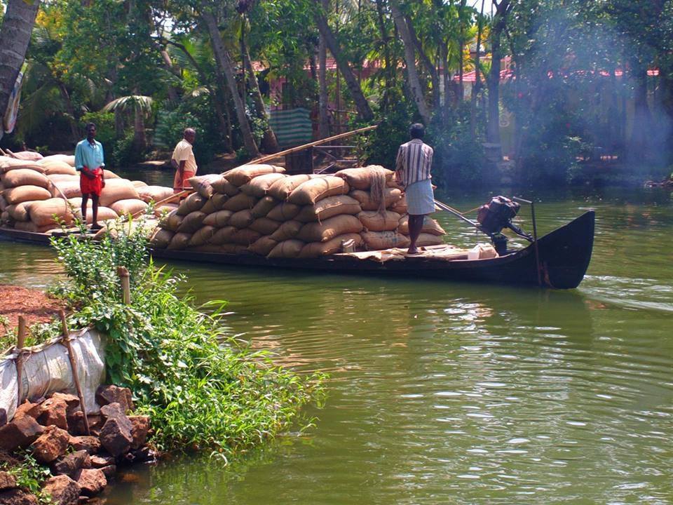 Photo of Alappuzha Backwaters - lots of chemmeen but no Karuthamma 31/34 by Chendilk