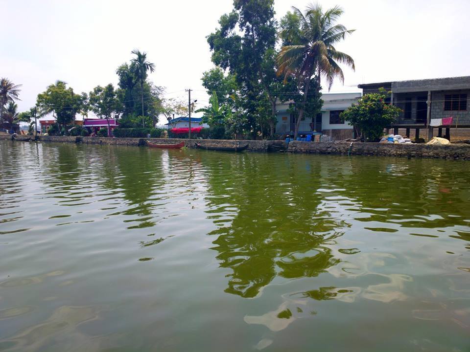 Photo of Alappuzha Backwaters - lots of chemmeen but no Karuthamma 32/34 by Chendilk