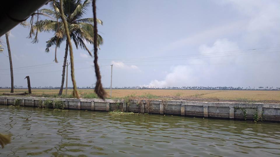 Photo of Alappuzha Backwaters - lots of chemmeen but no Karuthamma 21/34 by Chendilk