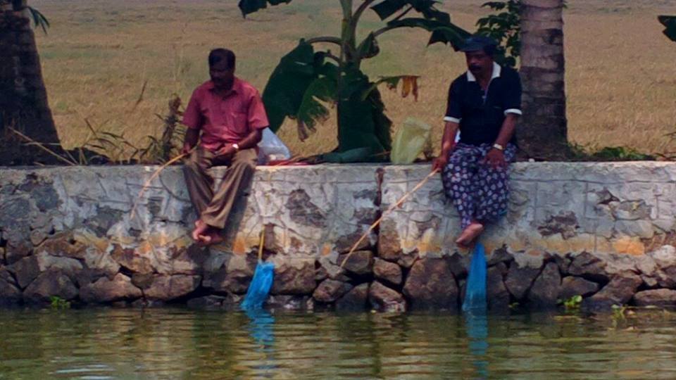 Photo of Alappuzha Backwaters - lots of chemmeen but no Karuthamma 23/34 by Chendilk