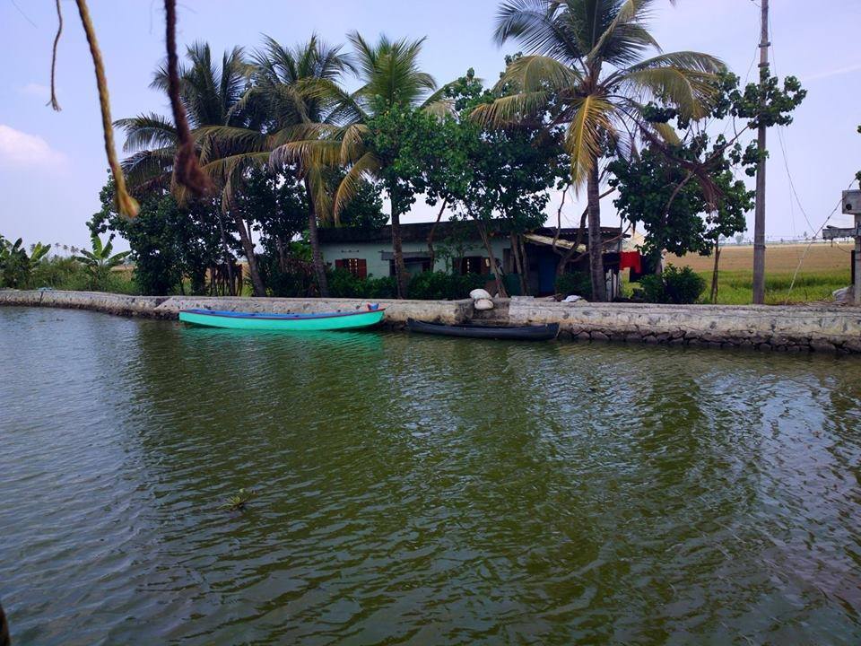 Photo of Alappuzha Backwaters - lots of chemmeen but no Karuthamma 24/34 by Chendilk
