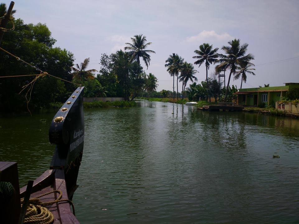 Photo of Alappuzha Backwaters - lots of chemmeen but no Karuthamma 25/34 by Chendilk