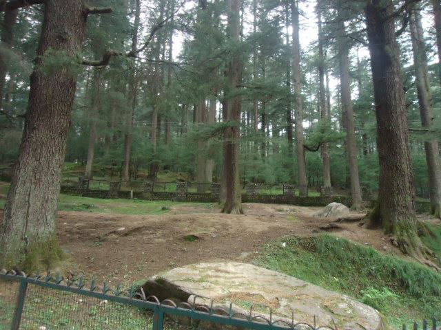Photo of Himalayas with my lens 38/239 by utpalasharmadei