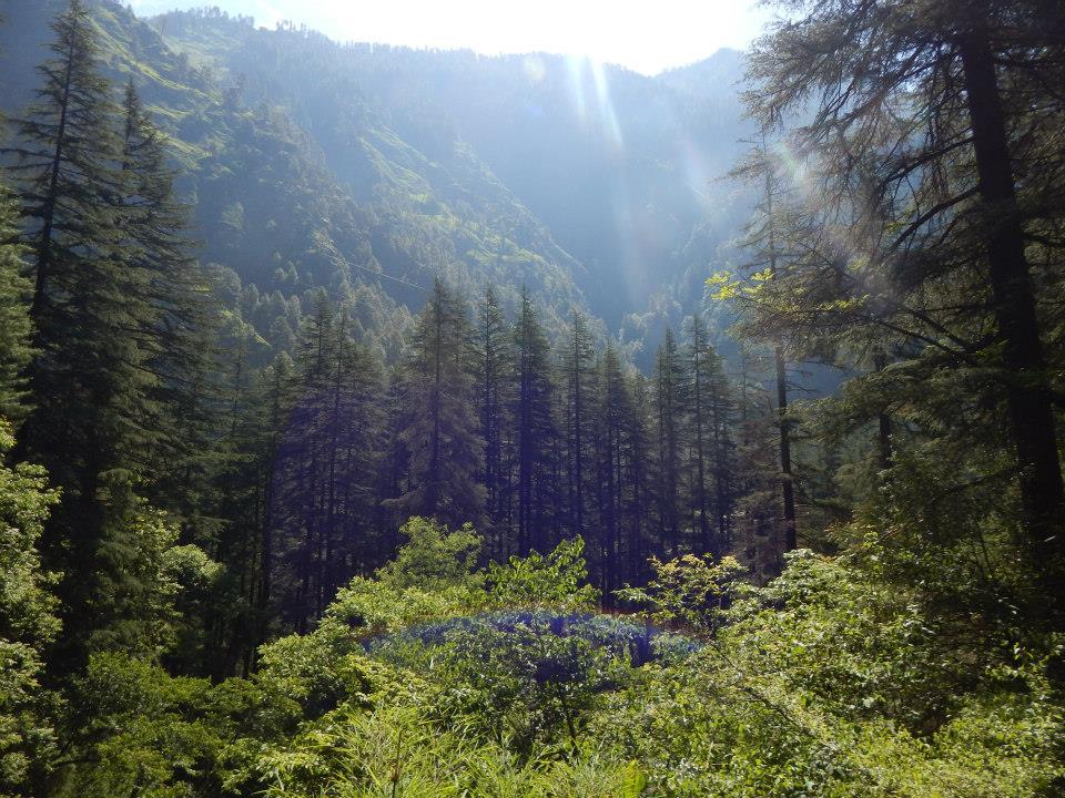 Photo of Sar Pass Trek 2/47 by Akash Deep