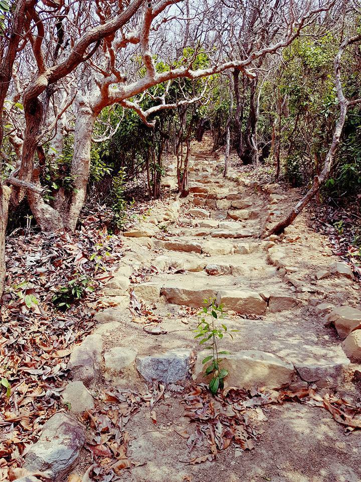 Photo of Day tripping on an island in Goa 8/17 by Just too Umezing