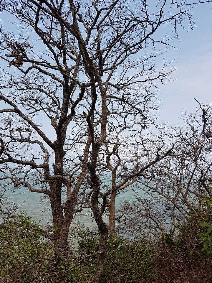 Photo of Day tripping on an island in Goa 9/17 by Just too Umezing