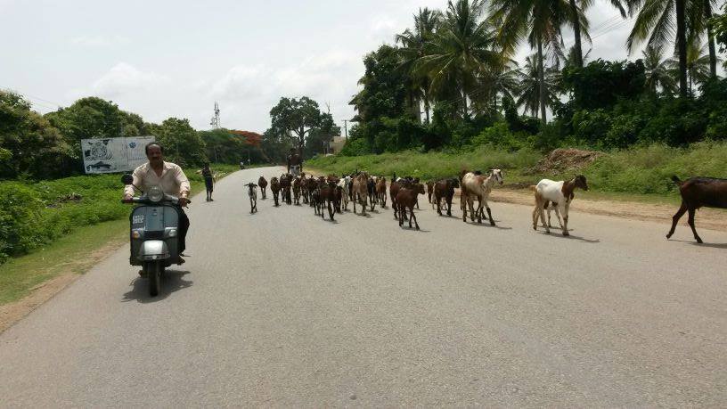 Photo of Kottiyoor Ride 8/11 by Chethan Shetty