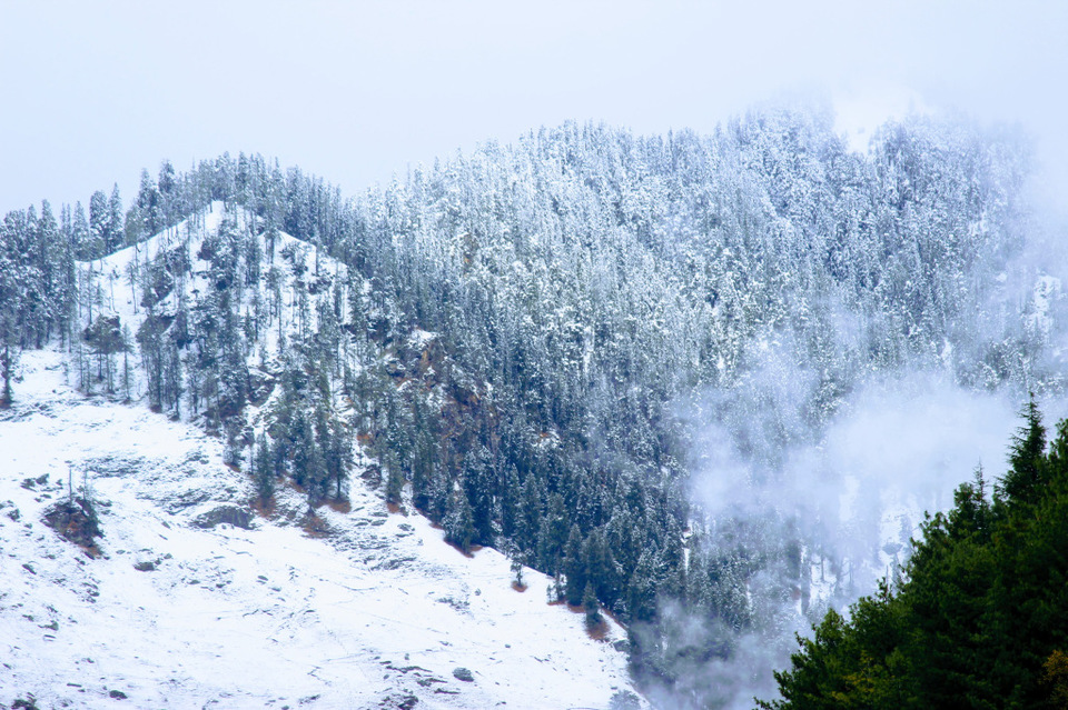 Photo of Do's and Don'ts of Manali Travels ! 5/6 by Richa Sahai