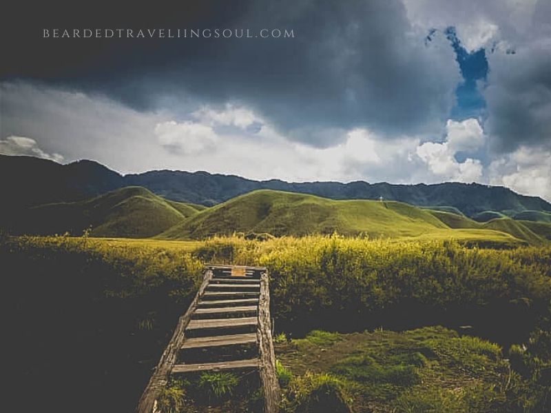 Photo of How to do Dzukou Valley Trek 3/3 by Amitabh Sarma