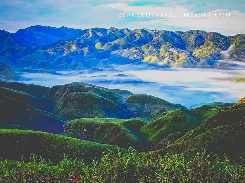 Photo of How to do Dzukou Valley Trek by Amitabh Sarma