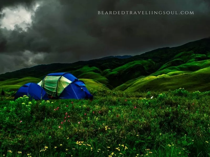 Photo of How to do Dzukou Valley Trek by Amitabh Sarma