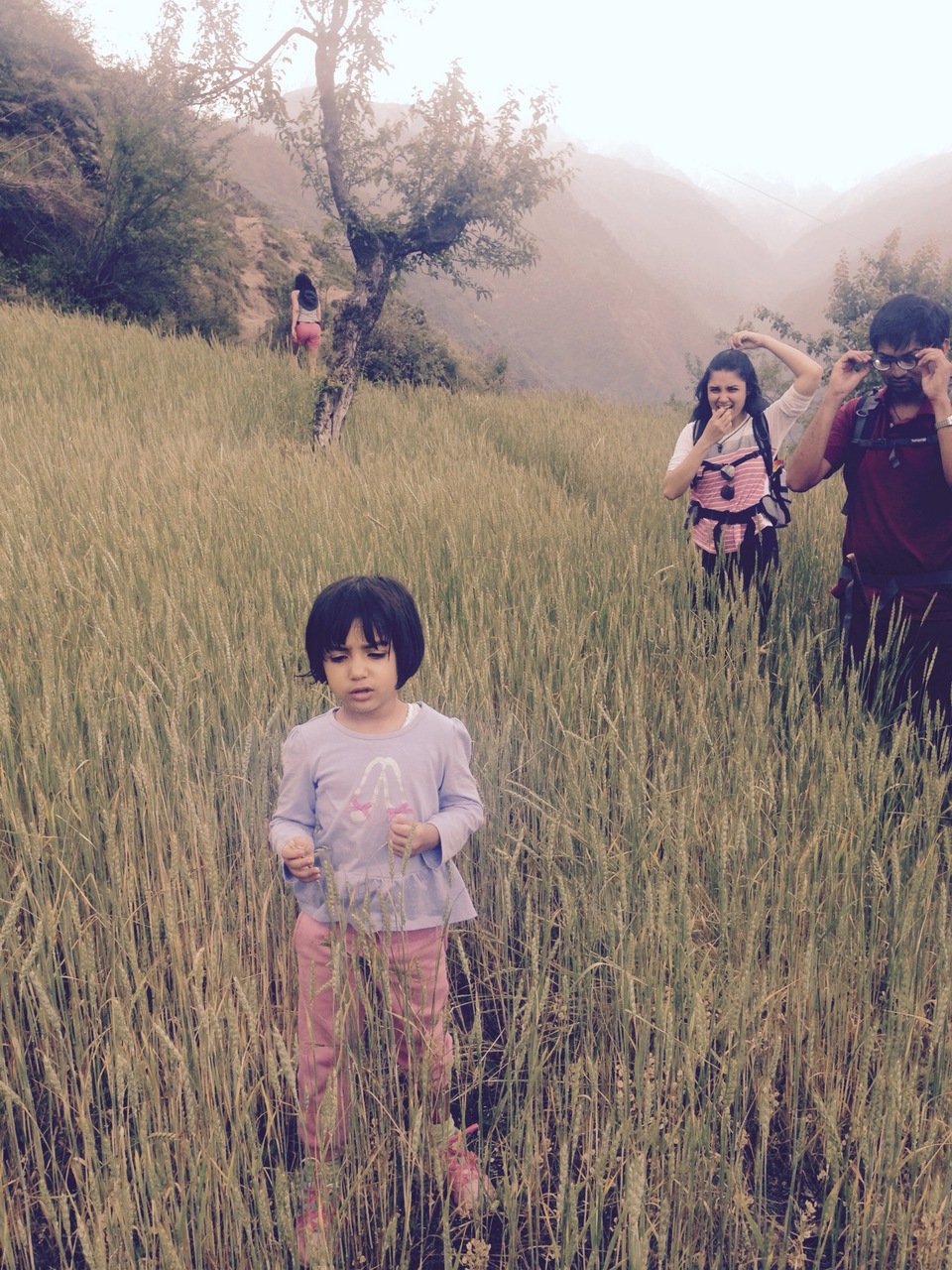 Photo of GNHP Trek 2015 with Ohanna to Rangthar by Rohit Manchanda