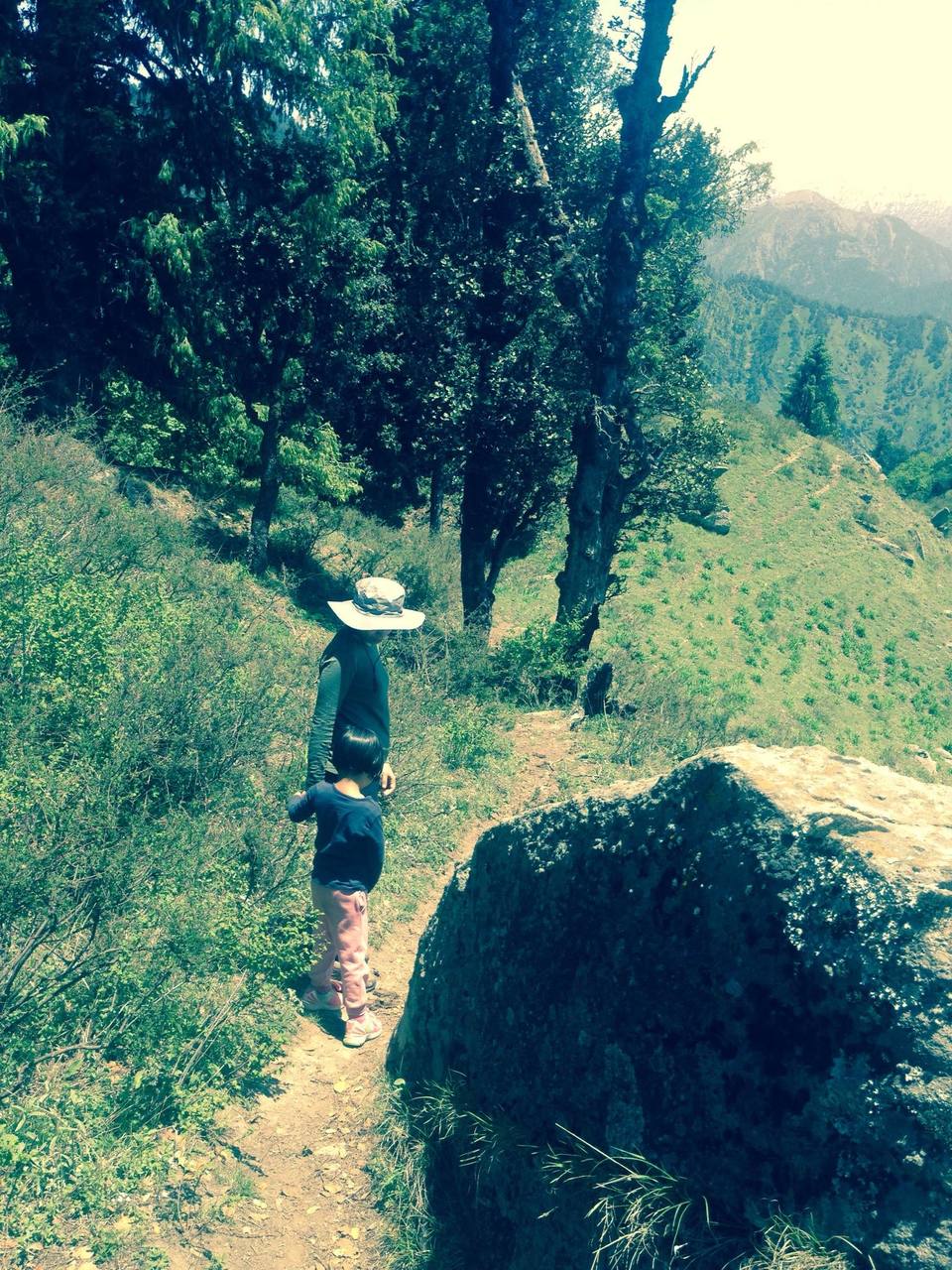 Photo of GNHP Trek 2015 with Ohanna to Rangthar by Rohit Manchanda