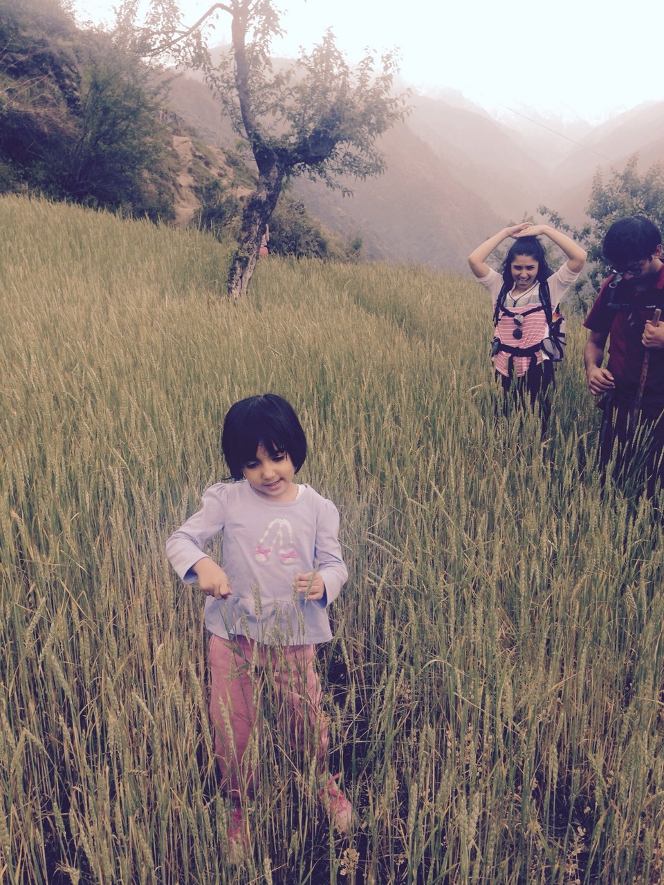 Photo of GNHP Trek 2015 with Ohanna to Rangthar by Rohit Manchanda