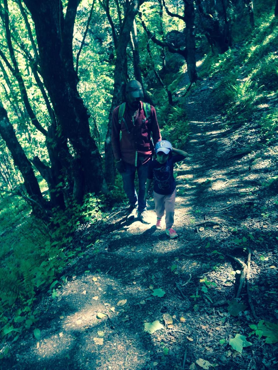Photo of GNHP Trek 2015 with Ohanna to Rangthar by Rohit Manchanda
