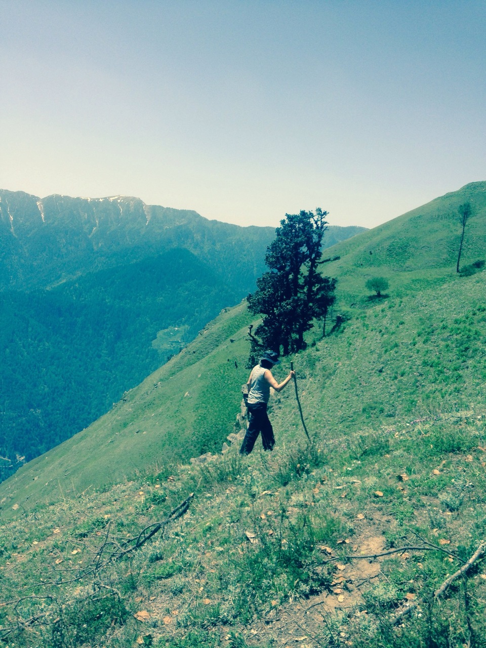 Photo of GNHP Trek 2015 with Ohanna to Rangthar by Rohit Manchanda
