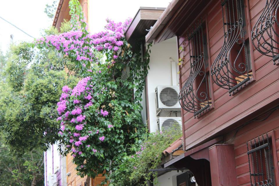 Photo of Backpacking to Turkey's best destinations 20/83 by Trisha Mahajan