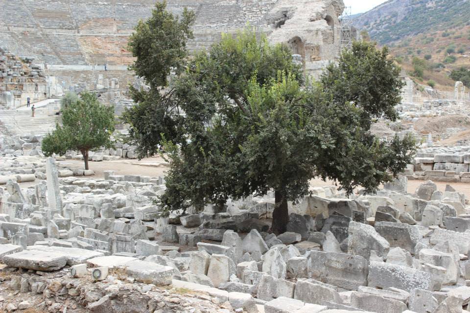 Photo of Backpacking to Turkey's best destinations 34/83 by Trisha Mahajan