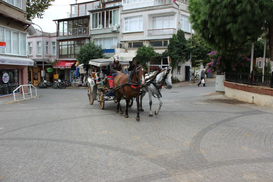 Photo of Backpacking to Turkey's best destinations 70/83 by Trisha Mahajan