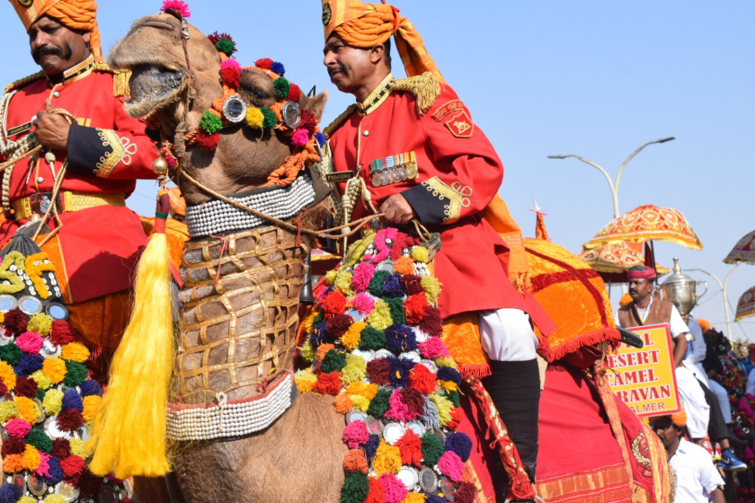 Photo of Dessert Festival 2018, Jaisalmer Rajasthan 13/19 by Neha Chauhan