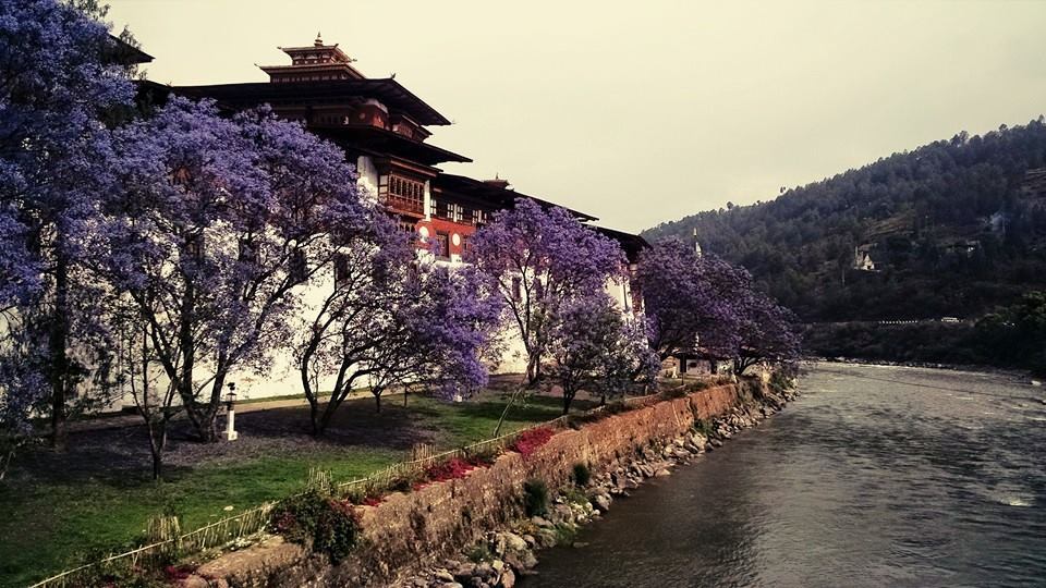 Photo of Bhutan – The Happy State 18/35 by Nutan Lakra