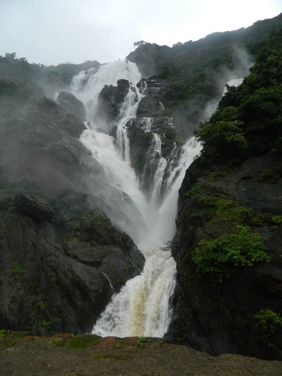 Photo of Mystic Doodhsagar – From Railway Tracks to Waterfall 1/12 by Pratik Sachdev