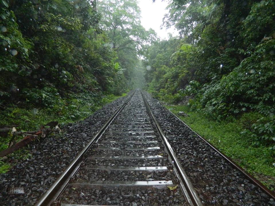 Photo of Mystic Doodhsagar – From Railway Tracks to Waterfall 12/12 by Pratik Sachdev