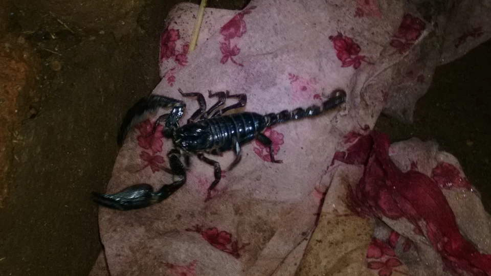 Photo of Purushwadi, Maharashtra, India by Pratik Sachdev