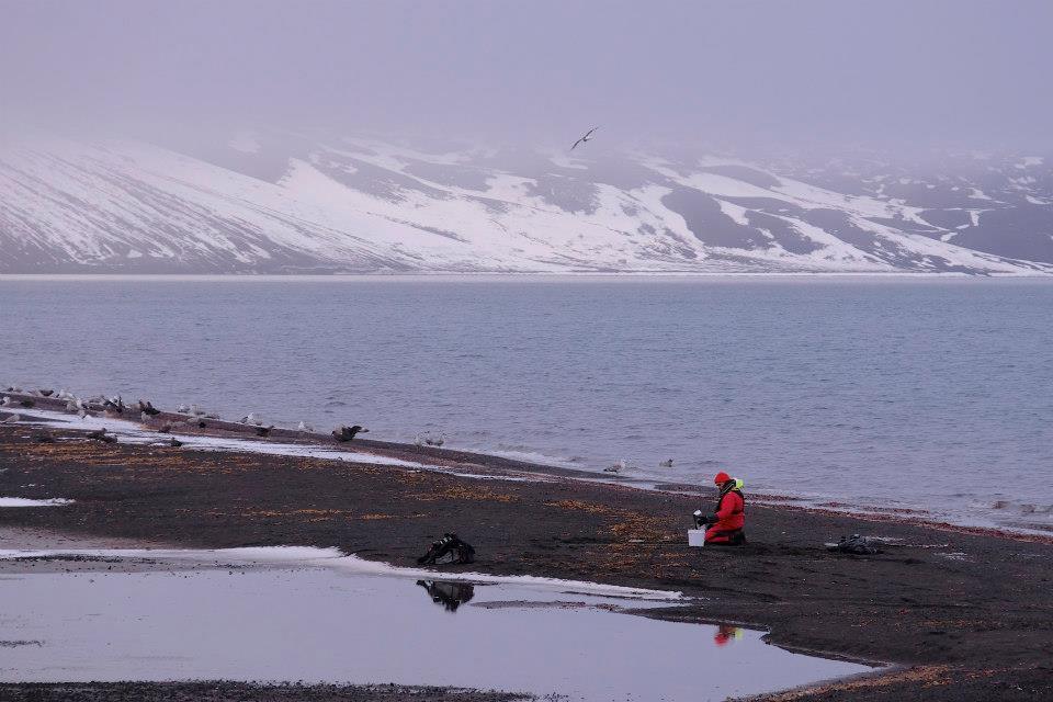 Photo of Expedition to Antarctica 2/18 by Satya Pavan