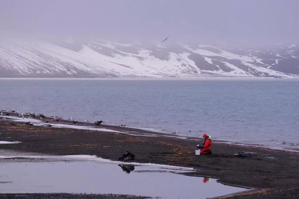 Photo of Antarctica, Antarctica by Satya Pavan