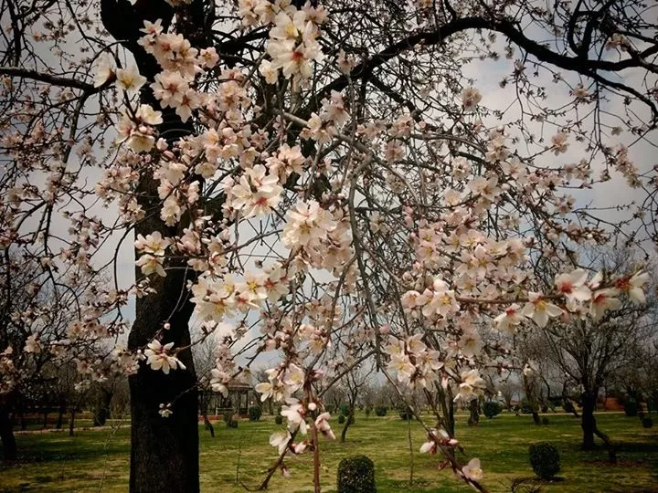 Photo of Jammu and Kashmir by Sonal Patel Dsouza
