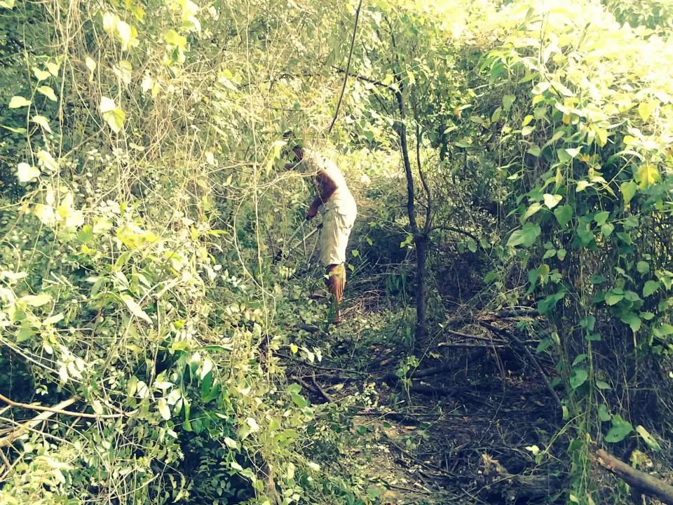 Photo of Auroville, Pondicherry by Sarthak Satapathy