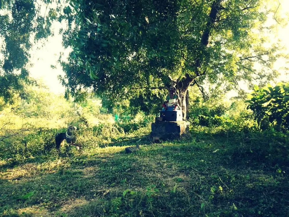 Photo of Auroville, Pondicherry by Sarthak Satapathy