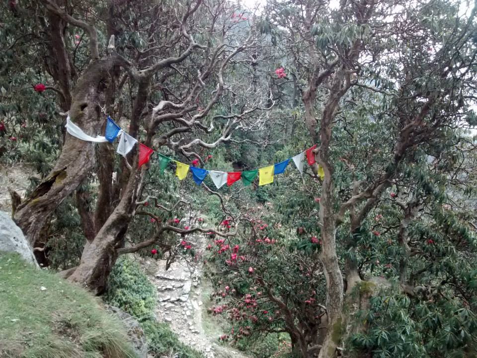 Photo of Himalayan Hiking Chronicles - Part 3 (The Hippie Trail) by Sarthak Satapathy