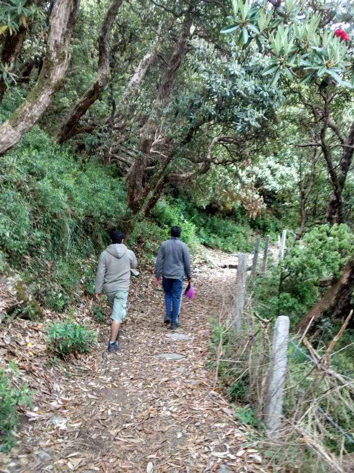 Photo of Himalayan Hiking Chronicles - Part 3 (The Hippie Trail) by Sarthak Satapathy