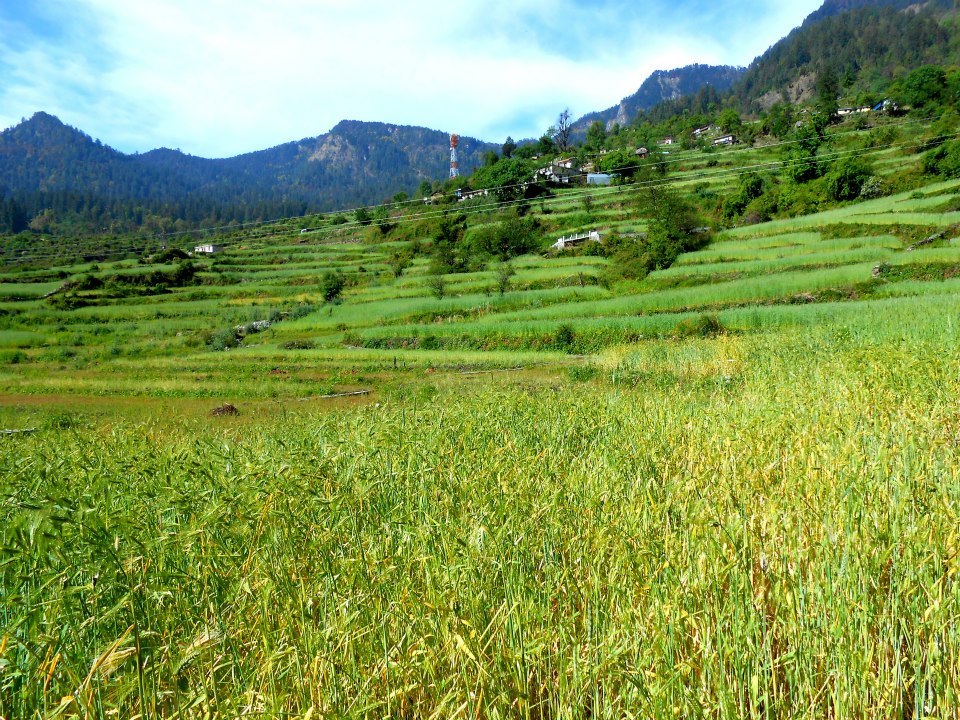 Photo of Himalayan Hiking Chronicles (Part One) by Sarthak Satapathy