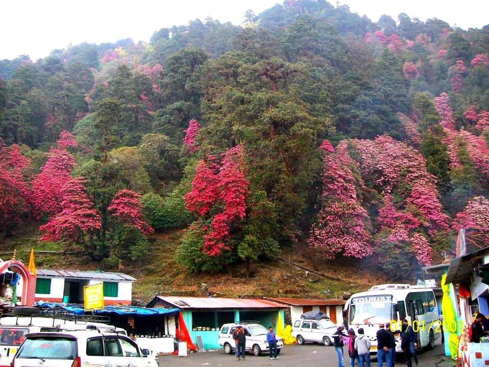 Photo of Himalayan Hiking Chronicles (Part One) by Sarthak Satapathy
