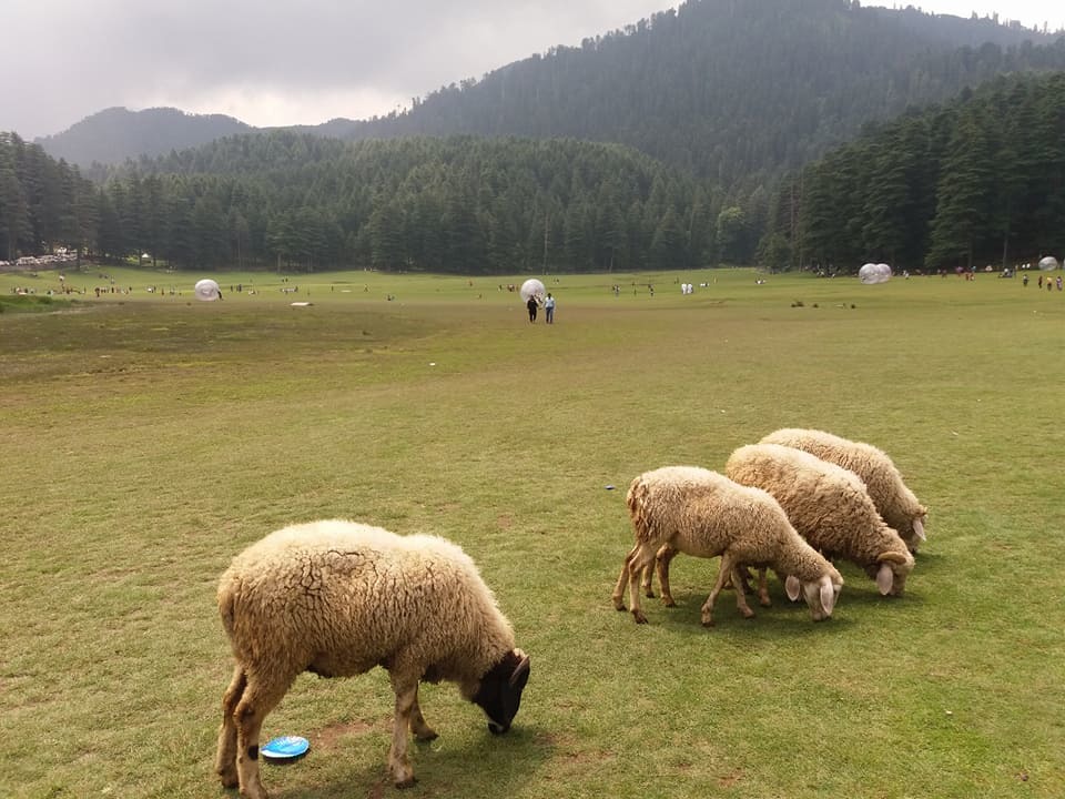 Photo of Dalhousie - Get the Best out of the Place in just 2 Days 5/14 by Arpita Mukherjee