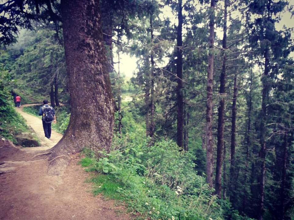 Photo of Dalhousie - Get the Best out of the Place in just 2 Days 7/14 by Arpita Mukherjee